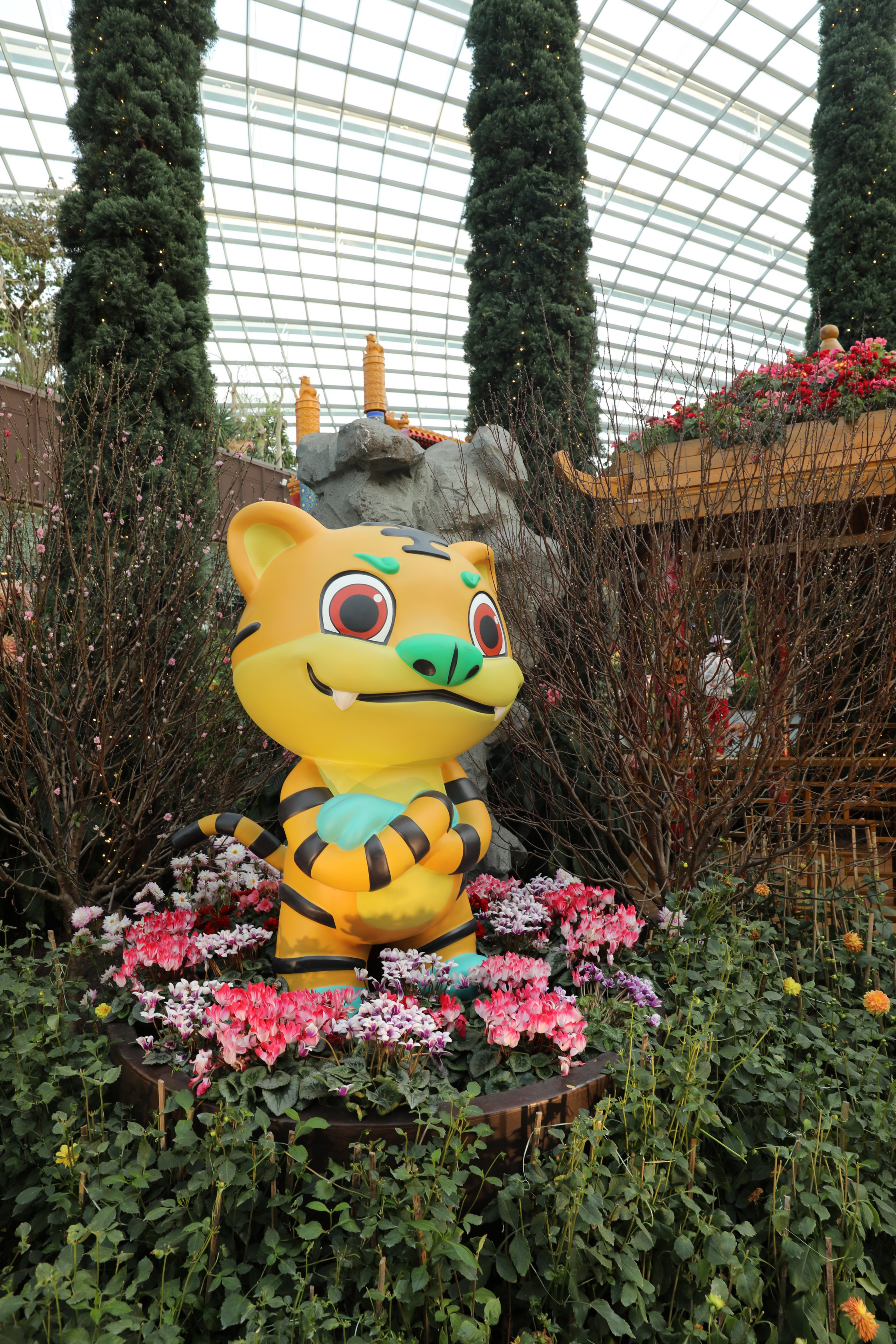 2020 02 03 18 45 19 Canon EOS 5D Mark IV 0060